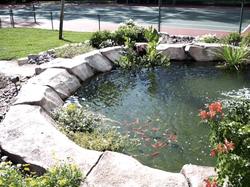 Tasarım Harikası Havuzlar